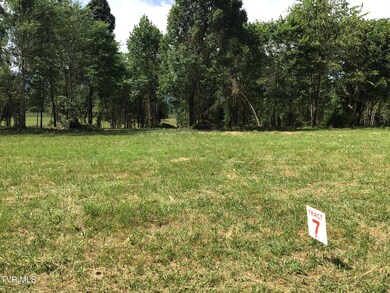 7 Laws Rd, Greeneville, TN 37743 - photo 3