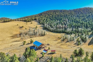 1440 N Range Rd, Guffey, CO 80820 - photo 4