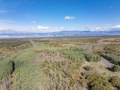 451 Birdsong Ln, Montrose, CO 81403 - photo 5