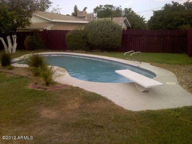 Backyard - Pool 4