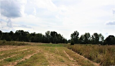 14.35 Acres + - Cr 766, Jonesboro, AR 72405 - photo 3