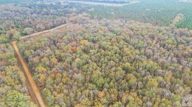 303 County Road 4268, Simms, TX 75574 - photo 7