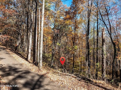 0 Grassy Branch Loop, Sevierville, TN 37876 - photo 2
