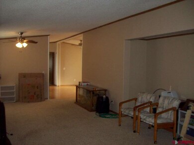 0 Bull Mesa Rd unit 748850, Cedaredge, CO 81413 - photo 3