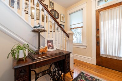 203 e Mithoff