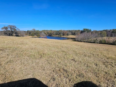 0 County Road 3513, Brownsboro, TX 75756 - photo 5