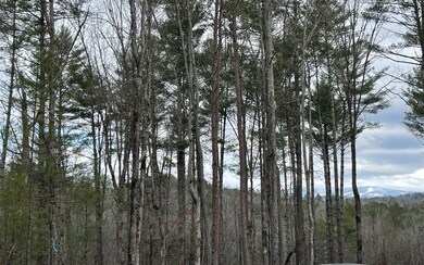Additional View