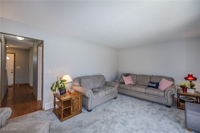 1132 N Carpenter Rd, Brunswick, OH 44212 - photo 5