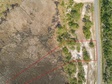 149 Hidden Harbor Dr, Alligator Point, FL 32346 - photo 4