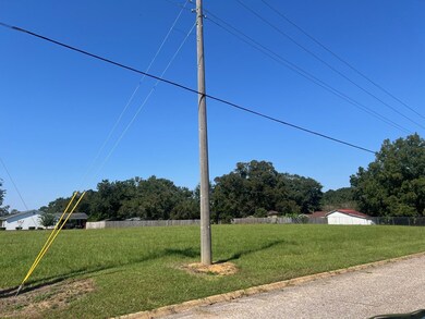 0 Bowden St, Brundidge, AL 36010 - photo 3