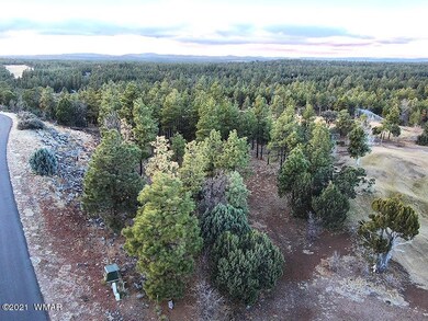 3400 Sage Ln, Show Low, AZ 85901 - photo 4