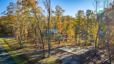 382 Plum Nelly Rd, Rising Fawn, GA 30738 - photo 3