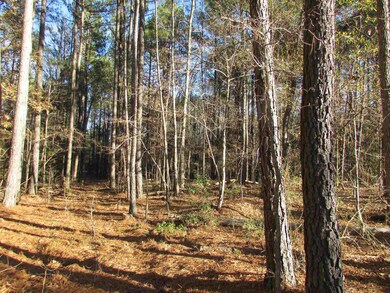 Lot 2 & 4 Lutterloh Rd, Pittsboro, NC 27312 - photo 4