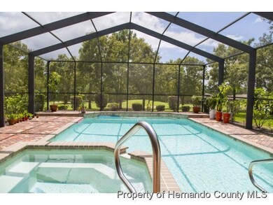 Pool & Spa
