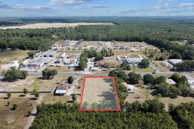 0 N Main St, Bell, FL 32619 - photo 2