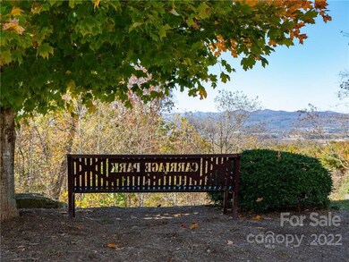 1736 Wood Owl Ct unit 36R, Hendersonville, NC 28791 - photo 7