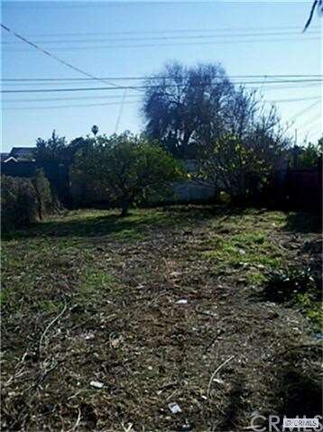 large back yard
