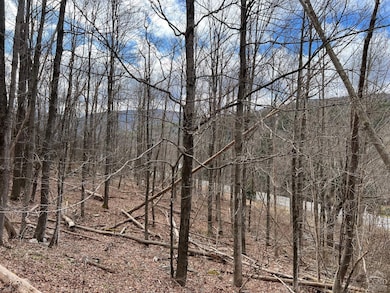 0 Route 23a unit 20253899, Lexington, NY 12452 - photo 6