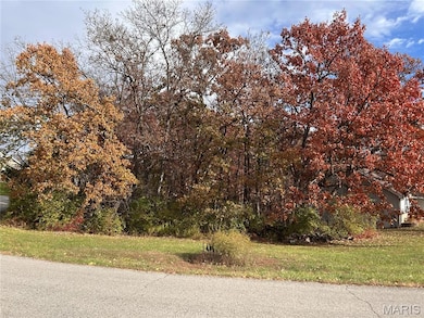 Lot 81 Village Ln, Hickory Grove Township, MO 63348 - photo 2