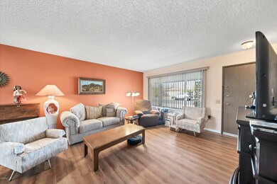 17423 N Appaloosa Dr, Sun City, AZ 85373 - photo 5