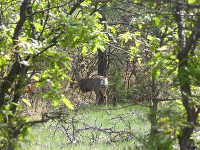 0 Gallinas Pkwy unit E17 24-248, Trinidad, CO 81082 - photo 7