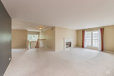 1515 Orchard Cir unit 2902, Naperville, IL 60565 - photo 5