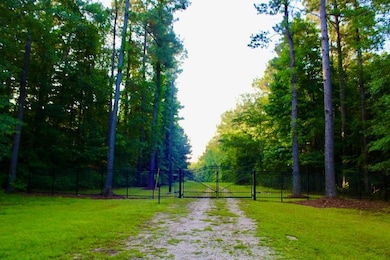 La 1071 unit LotWP001, Angie, LA 70426 - photo 5