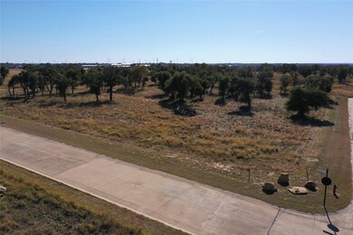 000 Ballpark Way, Jacksboro, TX 76458 - photo 6