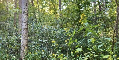 14 Blue Creek Estates, Somerset, KY 42501 - photo 6