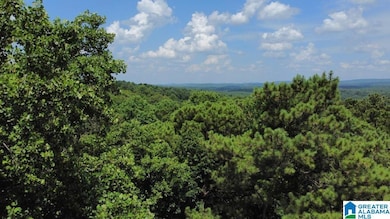 4251 Cedar St unit 1, Irondale, AL 35210 - photo 4