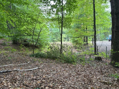 62 N 14th Ave, Mears, MI 49436 - photo 4