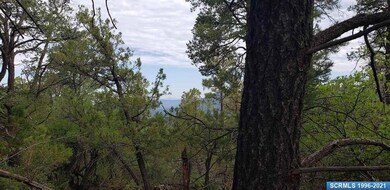 72x Joseph Blane Rd, Silver City, NM 88061 - photo 4