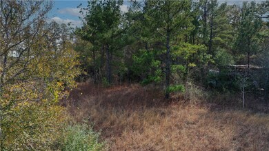 View of local wilderness