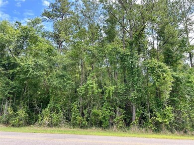 0 State Highway 59 unit 7437053, Stockton, AL 36579 - photo 4