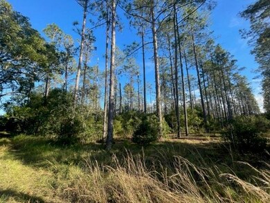 0 SE Corner of Holly Lane & S R 597 Ln unit MFRT3488610, Lutz, FL 33558 - photo 3