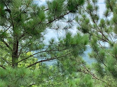 529 Timber Creek Trails South Phase 9, Broken Bow, OK 75068 - photo 7