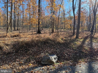 0 Digging Bear Ln unit VALO2111588, Purcellville, VA 20132 - photo 3