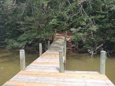 Dock, facing back towards the home