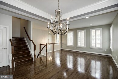 3439 Kemper Rd, Arlington, VA 22206 - photo 4