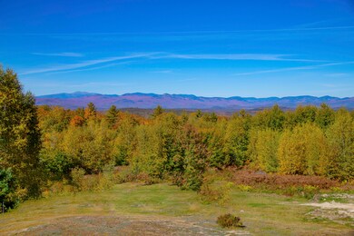 mt washington foliage selects-3