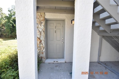 2205 Irene St, Lutz, FL 33549 - photo 6