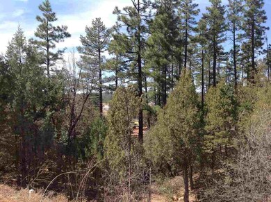 4650 S Manzanita Way, Show Low, AZ 85901 - photo 2