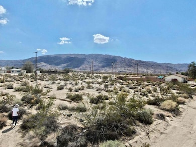 20230608195303382286000000-o