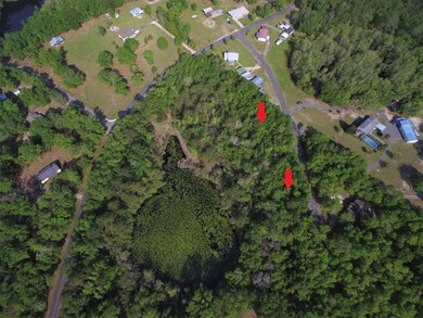 Lot 2 Three Sisters Rd, Crawfordville, FL 32327 - photo 4