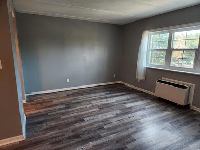Spare room featuring radiator heating unit and dar