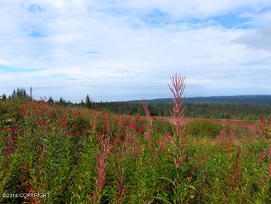 Open land