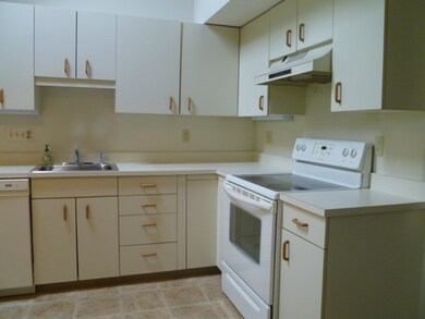 10 Baldwin Ln, Amherst, MA 01002 - photo 6