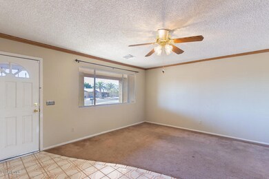 Living Room (2)-SMALL