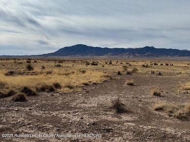 101 Jimson Weed, Carrizozo, NM 88301 - photo 3