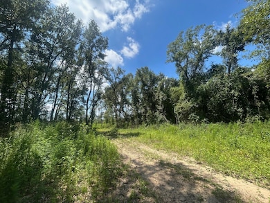 0 Creel Rd unit 23965084, Theodore, AL 36582 - photo 5